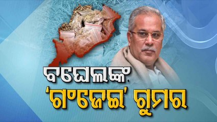 Download Video: Politics Heats Up After Chhattisgarh CM Targets Odisha Over Smuggling Of Ganja