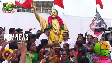 #MRVNEWS #கரூர் அதிமுக கட்சி 50 ம் ஆண்டு விழா முன்னாள் அமைச்சர் எம்.ஆர்.வி பங்கேற்பு |