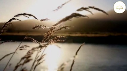 यीशु मसीह ने क्यू कहा कि तुम पृथ्वी के नमक हो | हम पृथ्वी के नमक है पर केसे | Bethestha Foundation