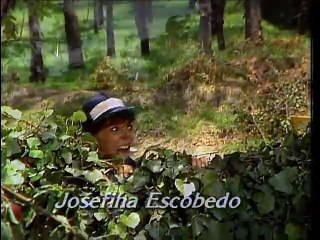 Rosa Salvaje - Capítulo 91  Juega con los sentimientos