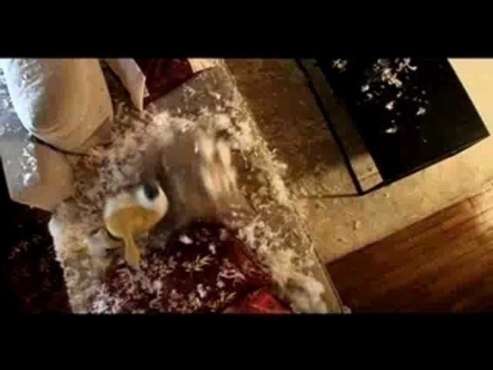 AU SECOURS, MON CHIEN FAIT LA LOI (M6)