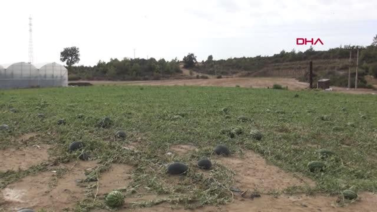 MANAVGAT'TA DOLU YAĞIŞI; TARLADAKİ KABAK VE KARPUZLAR ZARAR GÖRDÜ