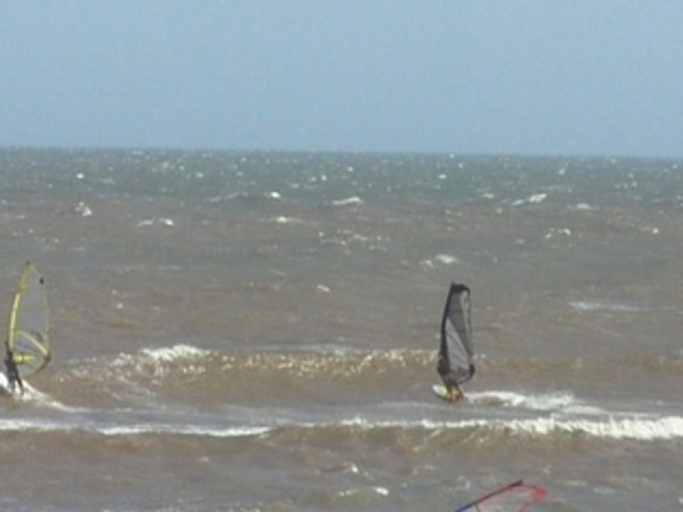 Video wind forward tato molina