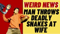 Man Throws Venomous Snakes At Wife - Weird News