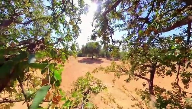 Um bom dia de caça melhora o humor dele _ Largados e Pelados- Sozinhos _ Discove_HIGH