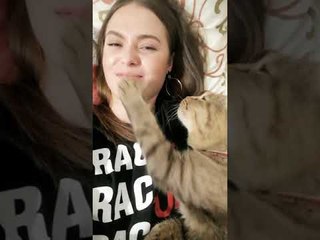 Kitty Can’t Get Enough Kisses