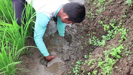 ANEEEEEEHHHH BIN AJAIB....CARA UNIK MENANGKAP BELUT