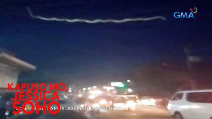 Kapuso Mo, Jessica Soho: DAMBUHALANG SAWA, PUMULUPOT SA KABLE NG KURYENTE SA BOHOL!