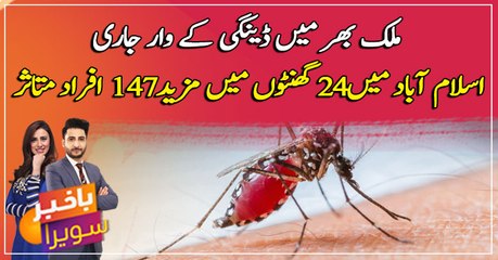 Islamabad continues to report spike in dengue cases