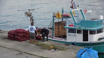 Kıyı balıkçıları palamutta umduğunu bulamayınca deniz salyangozuna yöneldi