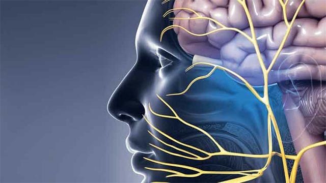 Face पर Pain होता है Trigeminal Neuralgia जैसी गंभीर बीमारी का संकेत जाने Symptoms और उपाय । Boldsky