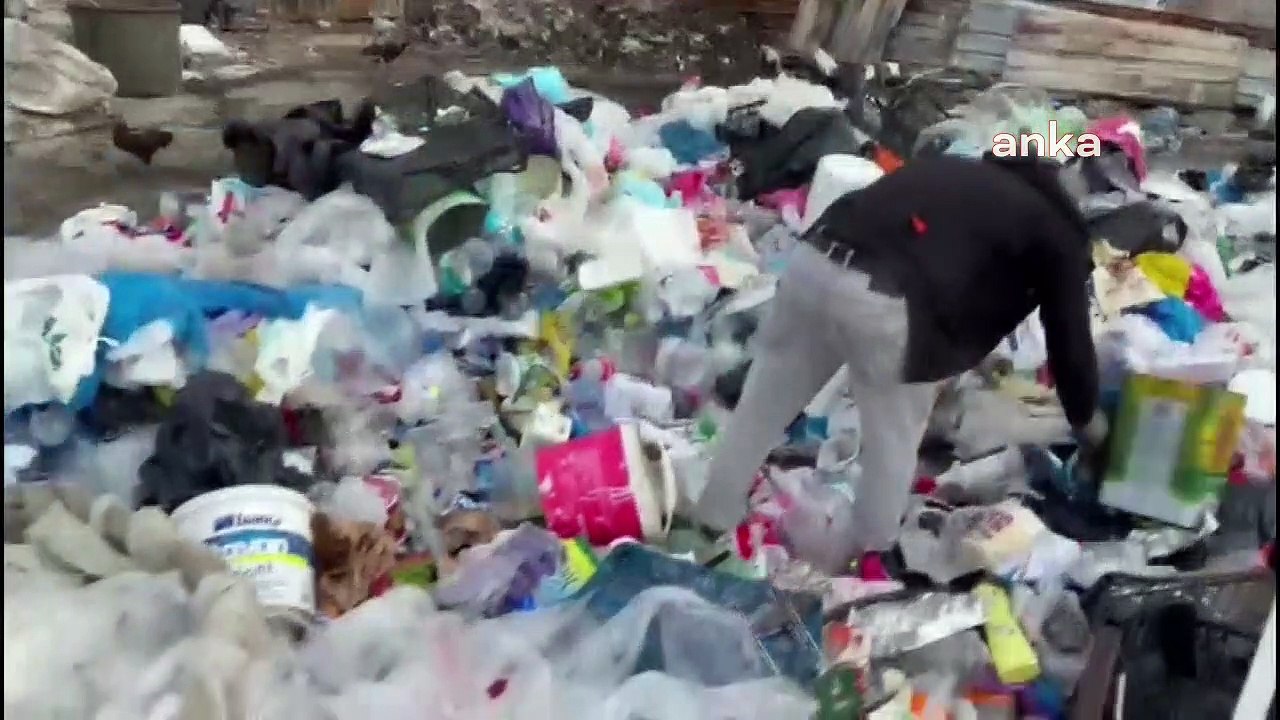 Veteriner teknikeri sokakta kağıt topluyor: Hayallerim vardı; bu işi zorunlu olarak bir üniversite mezunu olarak yapmak beni çok üzüyor