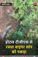 होटल से पकड़ा सबसे खतरनाक सांप
