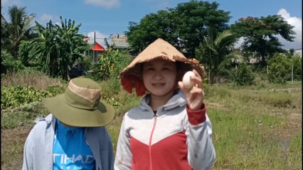 Vietnamese Girl Picks Eggs in the fields