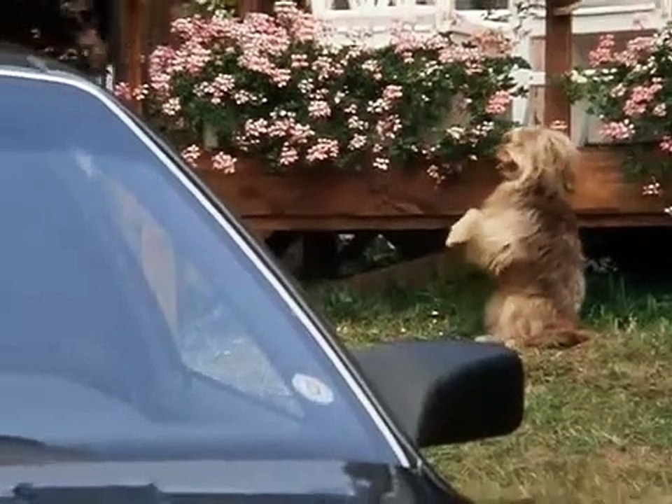 Die-Schwarzwaldklinik S01E07-Die Wunderquelle