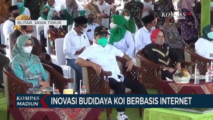 Inovasi Budidaya Koi Berbasis Internet