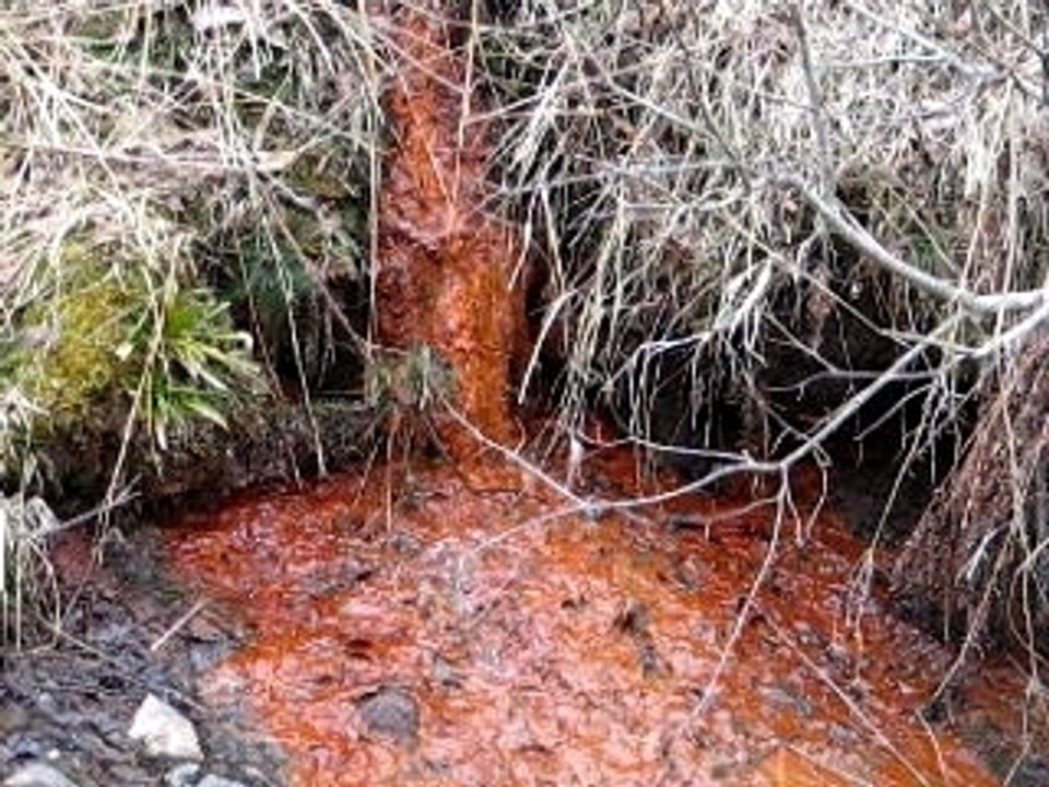 Picherande7