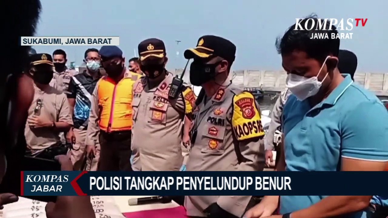 Nekat Selundupkan Benur Ke Luar Negeri, 2 Pria Ditangkap Polisi