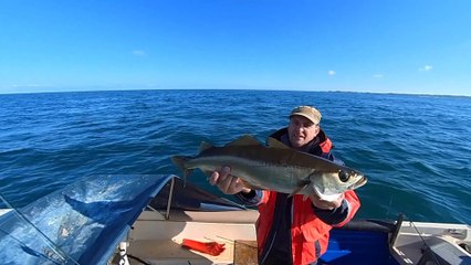 Fishing for Food - Pollack Bass Mackerel