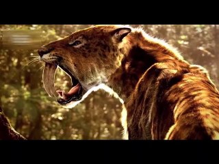 Coba Lihat 8 Gigi Hewan Ini Paling Tajam di Dunia