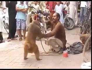 world best funny video ever!!Tough fights Monkey vs Man