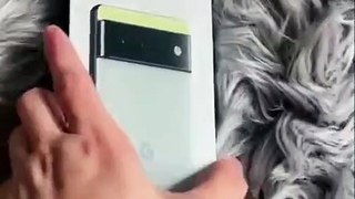 Pixel 6 unboxing leaked