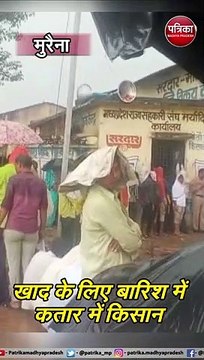 मुरैना : खाद के लिए बारिश में कतार में किसान