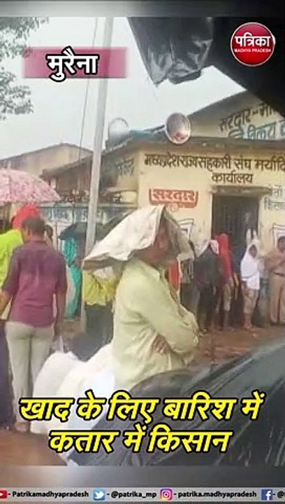 मुरैना : खाद के लिए बारिश में कतार में किसान