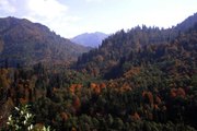 Doğa harikası Borçka Karagöl ziyaretçilerini sonbahar renkleriyle ağırlıyor