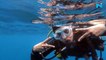 Priyanka Chopra goes scuba diving in Spain, says ‘Stress needs to be silenced’