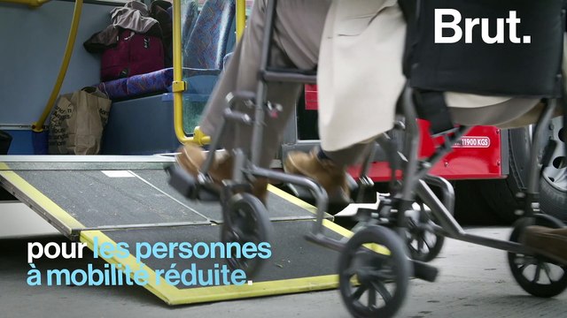 Sclérose en plaques : le cri du cœur de Dominique Farrugia