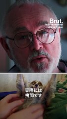 【可愛い動物の動画に隠された醜い真実】