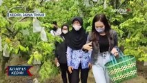 Anggota DPRD Kota Kediri Gandeng Eksportir Untuk Tingkatkan Penjualan Hasil Panen Petani