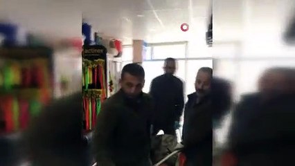 Otomobil çarpan ayı tedavi altına alındı