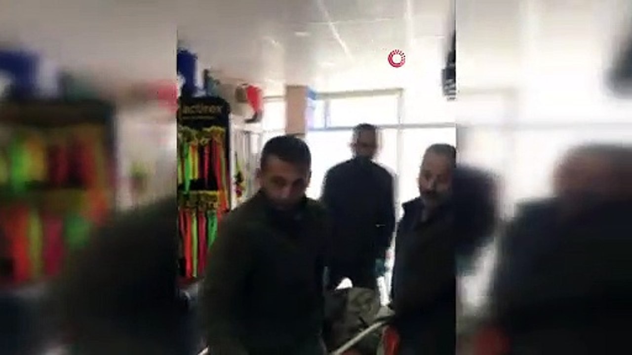 Otomobil çarpan ayı tedavi altına alındı