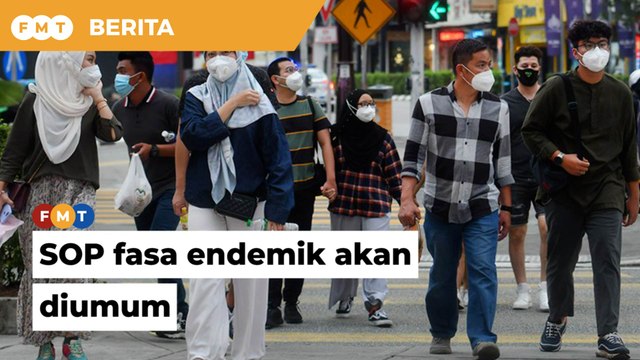 SOP fasa endemik akan diumum dalam masa terdekat, kata Hishammuddin