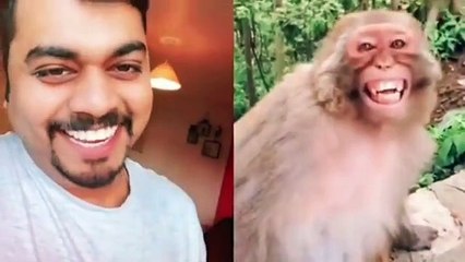 Troll Prank Dog Funny & fake Lion and Fake Tiger Prank To dog & Huge Box Prank to dog