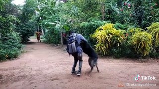 Dogs Meets Owner After Long Time - TRY NOT TO CRY