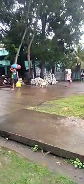 Dog Helps Humans with Heavy Load