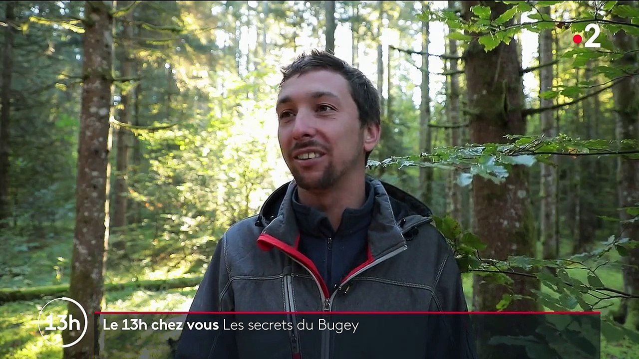 Patrimoine : la beauté du Bugey, entre cité médiévale, forêt ancestrale et vignobles