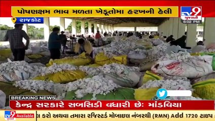 Dhoraji Market Yard overflows with cotton following good harvest, Rajkot _ TV9News