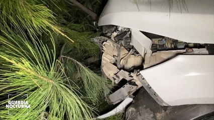 Conductor ebrio impacta su automóvil contra un poste de telecomunicaciones y un árbol