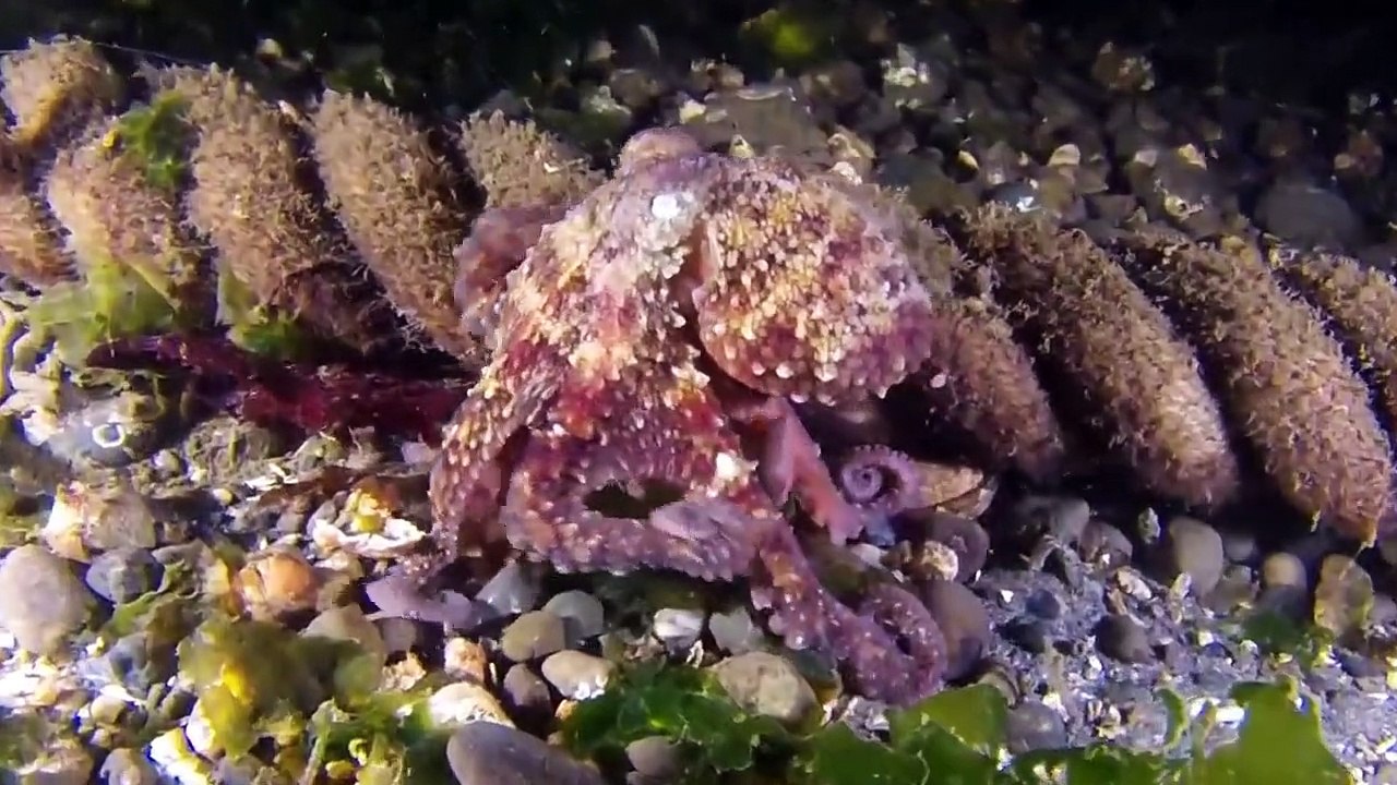 The Truth Behind The “Ideal” Human Body In Future