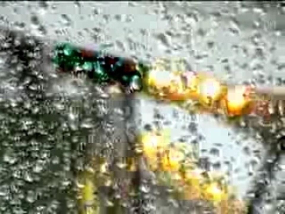 Sebastien Schuller - Weeping Willow