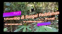 Mancing di Sungai Pedalaman Ketapang Kalimantan Barat (Part 1)