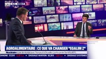 Julien Denormandie (Ministre de l'Agriculture et de l'Alimentation) : Ce que va changer 
