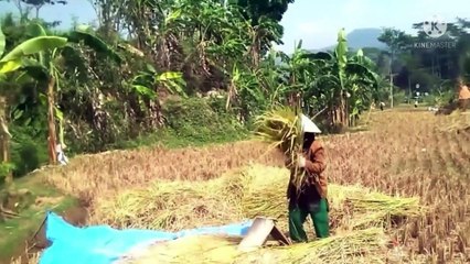 Perjuangan seorang ibu untuk anaknya