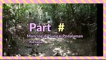 Mancing di Sungai Pedalaman Ketapang Kalimantan Barat (Part 2)