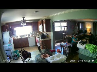 Cat Takes a Tumble From Fridge