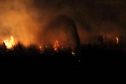 Beyşehir Gölü Milli Parkı'nda sazlık yangını